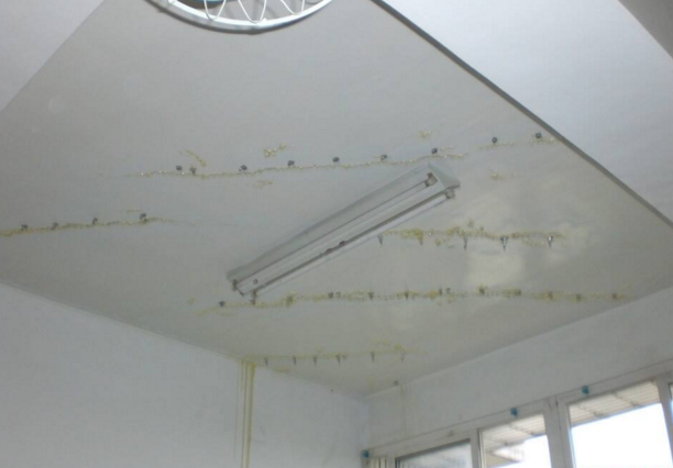 房顶漏水怎么检测，房顶漏水怎么修才好?