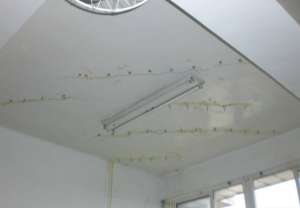 房顶漏水怎么监测，房顶漏水怎么维修?