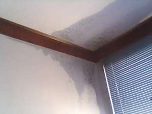 房子漏水怎么检查，房子漏水怎么修好呢?
