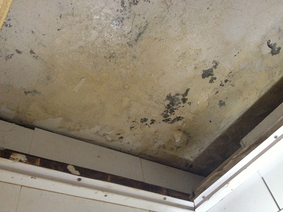 卫生间砖缝漏水怎么回事，卫生间砖缝漏水怎么处理呢?