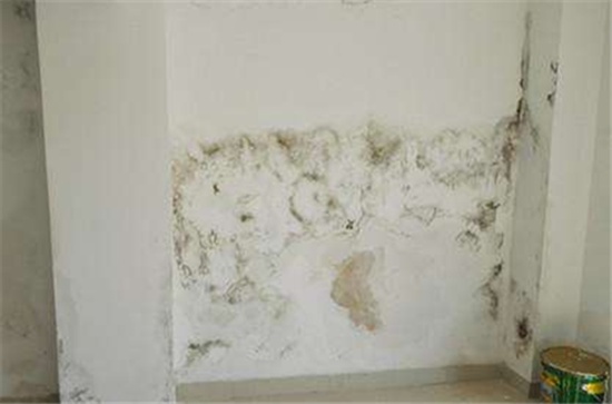 墙面漏水点怎么探测，墙面漏水如何处理?
