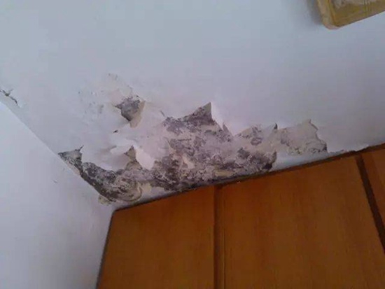 墙面漏水怎么办，墙面漏水修理多少钱?