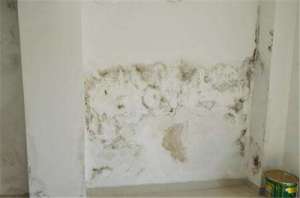 墙面漏水的原因是什么，墙面漏水处理方法有哪些?