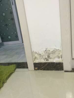 卫生间砖缝漏水原因是什么，卫生间砖缝漏水怎么办呢?