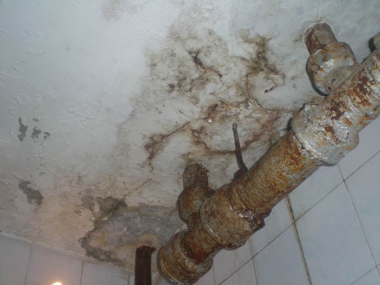 卫生间下水管漏水怎么检测，卫生间下水管漏水修理多少钱呢?