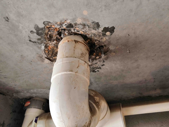 卫生间下水管漏水什么原因，卫生间下水管漏水如何处理?