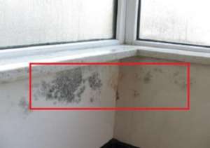 楼房窗户漏水怎么办?楼房窗台要如何养护?