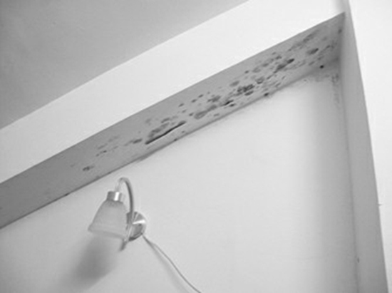 南平厨房天花板漏水处理方法_5楼卧室天花板漏水