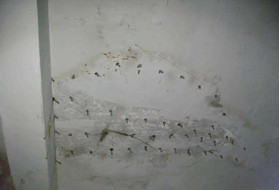金州厨房天花板漏水如何处理_露台铺了瓷砖漏水怎么处理