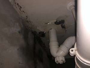 葫芦岛卫生间下水管漏水修理多少钱_旧小区楼上卫生间管道漏水谁负责