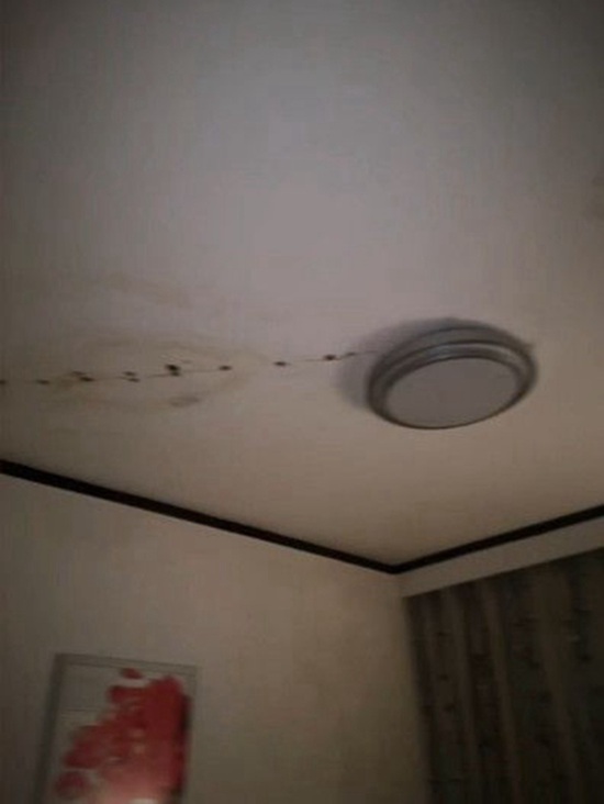 三明地暖管漏水的原因_才装修的房子楼下反应漏水
