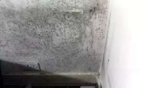 宁德卫生间水管漏水如何处理_卫生间吊顶上楼板下下水道漏水