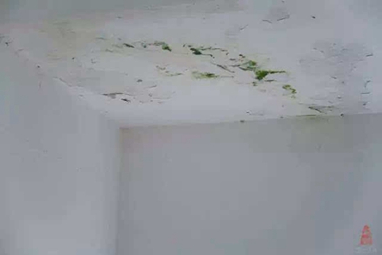四川厨房天花板漏水怎么检查_厨房防水漏水