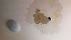 白城天花板漏水怎么检查_马桶直角阀天花板漏水
