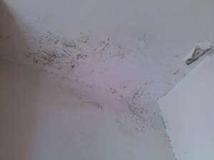 佛山厨房天花板漏水怎么监测_新房厨房漏水什么原因