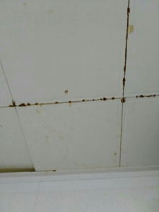 吉林楼上卫生间漏水的原因_一楼卫生间马桶顶漏水
