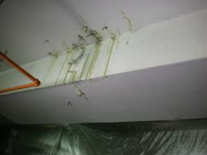 盘锦天花板漏水是什么原因_厨房一下雨天花板就漏水