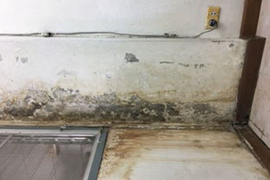 周口厕所漏水修理_厕所漏水用塑钢泥和堵漏王