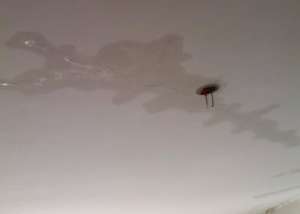 天花板漏水的原因是什么？天花板漏水怎么修？