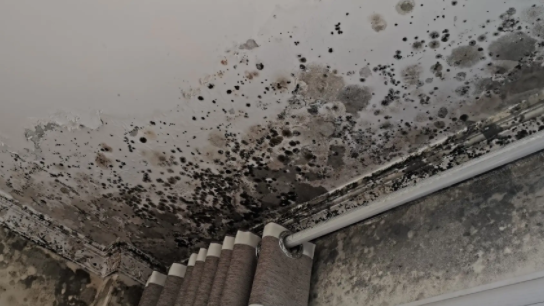楼顶漏水是什么原因导致的?水电工一不小心说漏了嘴