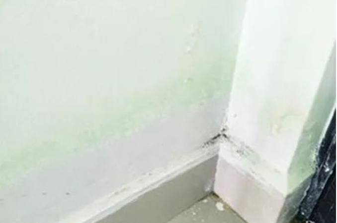 墙面漏水的原因是什么?如何解决墙面漏水