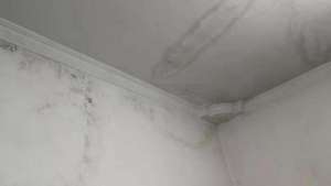 楼顶漏水是什么原因造成的?速来查看