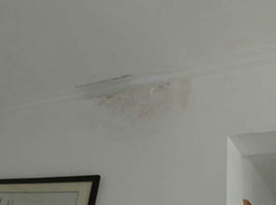 天花板漏水怎么维修？这些方法不容错过，省钱又省心！