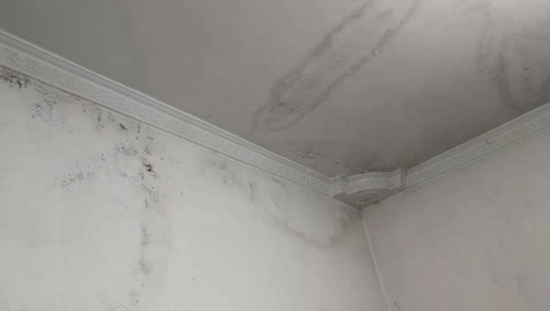 天花板漏水怎么解决？这些方法让你的房间不再滴水