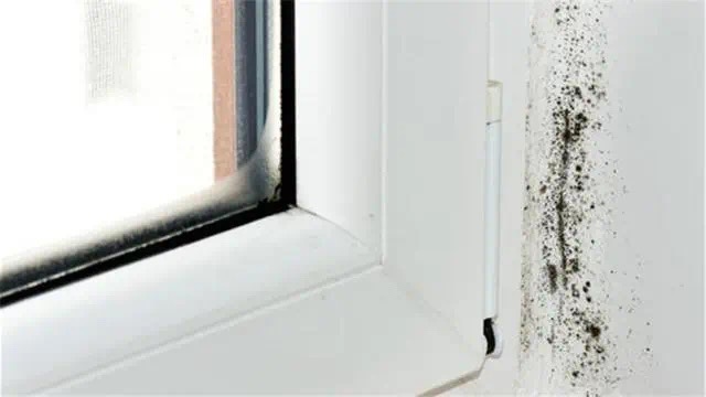 窗户漏水的处理方法有哪些？不用请人也能自己解决！