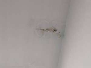 天花板漏水怎么修补？跟着这个方法一步步操作！